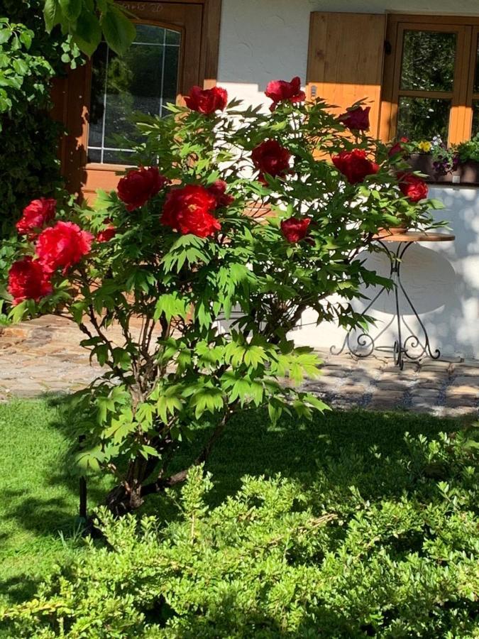 Ferienwohnung Fanese Flintsbach Dış mekan fotoğraf